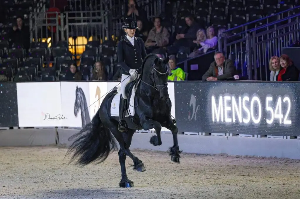 HK hengstenbal 2026 Menso 542