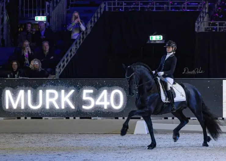 Hengstenbal 2026 met Dinja van Liere