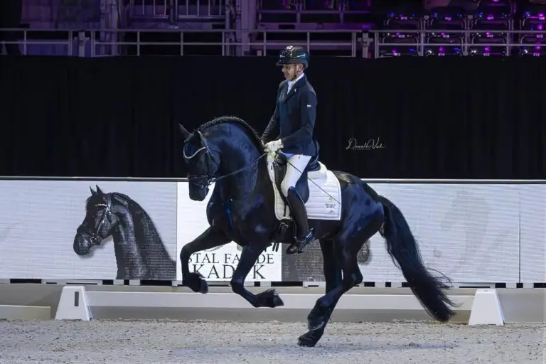 Syme 551 hengstenbal 2026